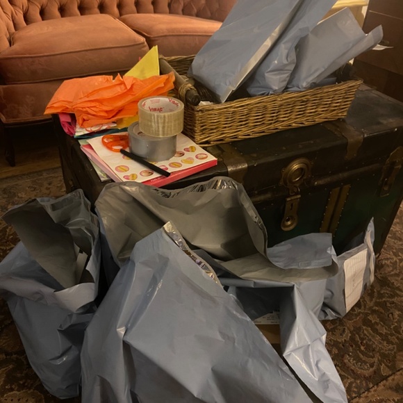 Meet your Posher, Elle - Picture 3 of 3